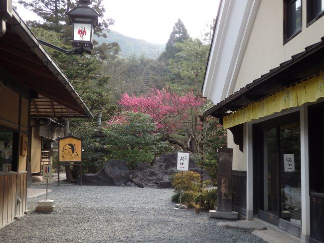 よーじやさんの前。