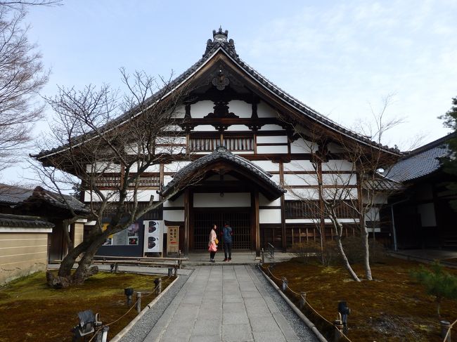 高台寺は豊臣秀吉が亡くなった後、その菩提を弔うために北政所（ねね様）が慶長１１年に開創した寺です。建仁寺の和尚さんを開山として迎えたとのことでした。<br />なので、臨済宗建仁寺派です。