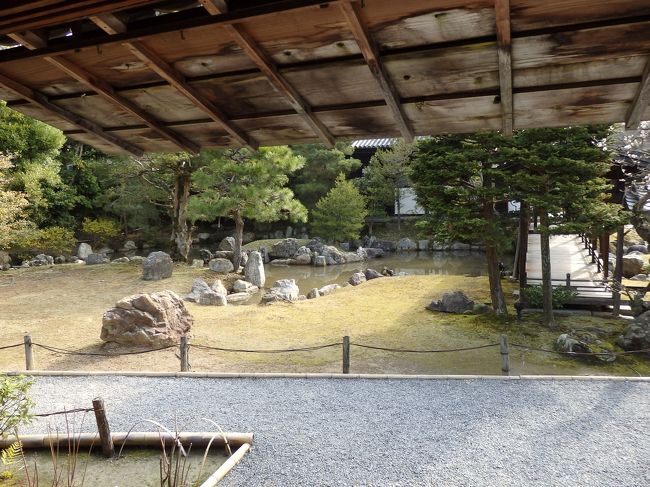 方丈から見るお庭の景色