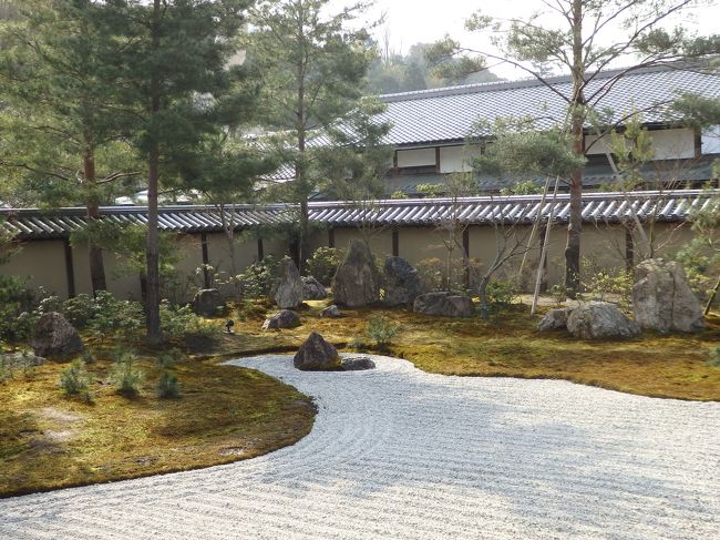 きれいですよねぇ