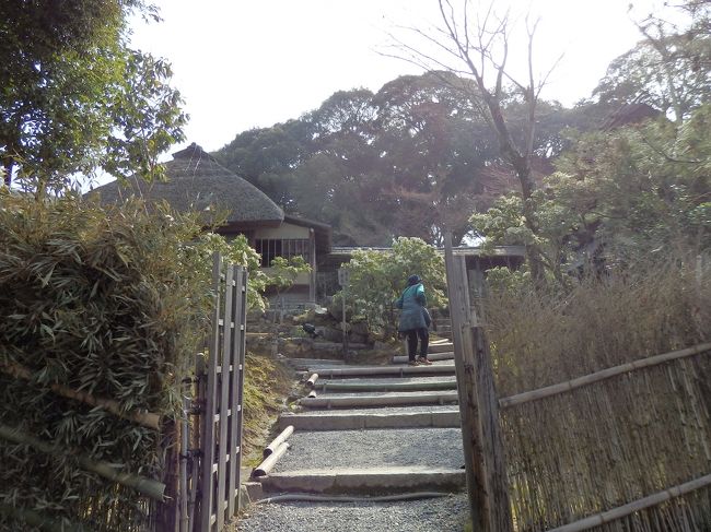 ちなみに、この時代は土葬だったとのことなのでねね様もここにそのまま眠っています。