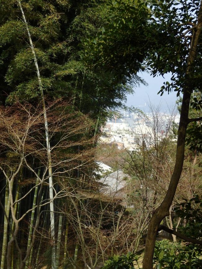 一番高いところからの景色をとるのを忘れてたので、こんな中途半端な写真なのですが、この木の向こうにある景色が見えるでしょうか。<br />ここは高い位置にあり、昔は大阪まで見えたようで、大坂の陣の時に、ねね様は燃える大阪城を見ながら涙したといわれているそうです。<br /><br />豊臣家のためにたたかっている人たちと、高台寺のスポンサーであった家康との戦い。<br />複雑だったでしょうねぇ。