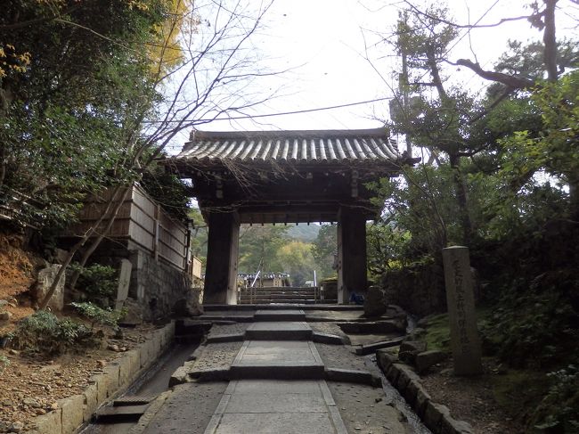 高台寺の門。<br /><br />高台寺さんは、要所要所で解説の人がいて、いつも解説くださるのでとっても勉強になるし、面白かった！！<br />ぜひぜひまた来たいです。<br /><br />夜のイベントもきれいみたいです。