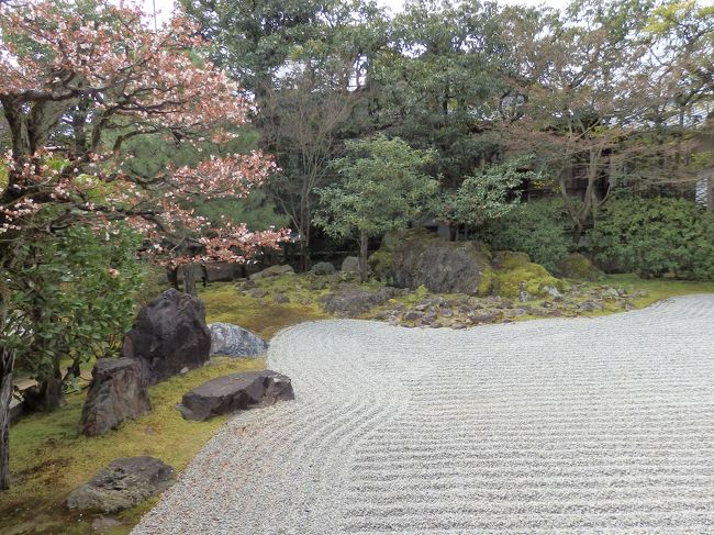 入って一番最初に見えるお庭です。