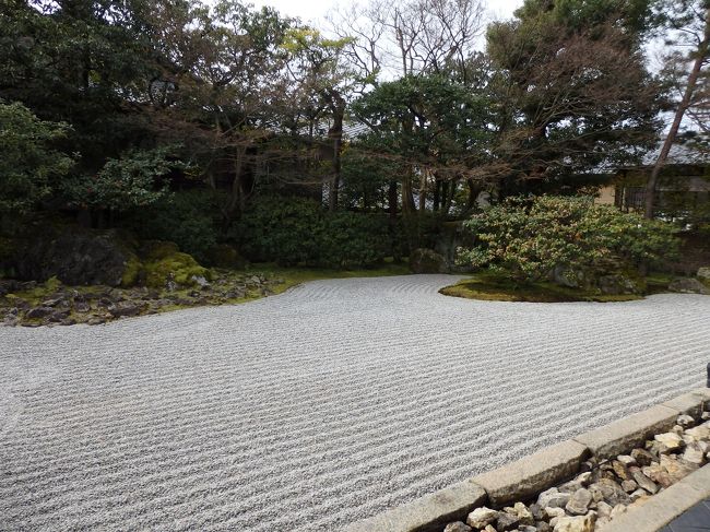 ここでも解説をしてくださいます。<br /><br />ここは禅庭にはめずらしく、花とか木が植えてあるのだとか。<br />ここにもねね様のやさしさ、やわらかさが出ているんですね、とのこと。