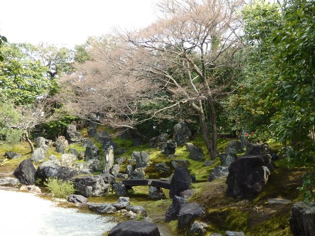 結構好きなんですよ