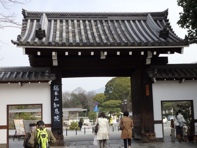 円山公園から知恩院に行きます。