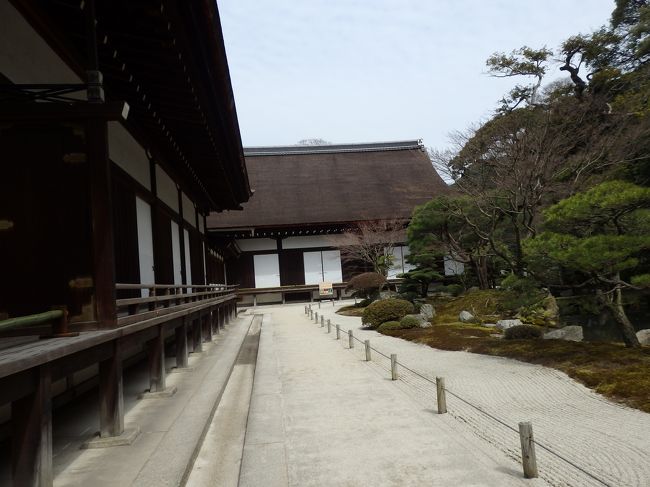 あまり人はいなかったのでゆっくりとできます。