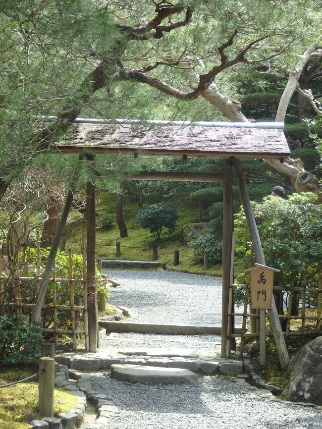 この小さな入口なんですけど、昔の人ってそんなに身長高くなかったからこのくらいの高さでもよかったんですかね？<br />少し小さ目。