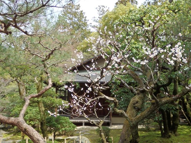 ここのお庭も結構よかったです。