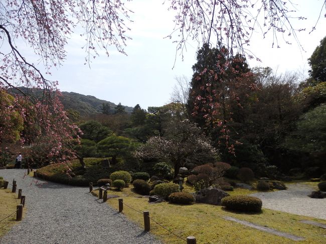 逆のアングルから。