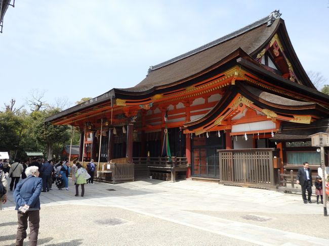 そして、またまた裏から八坂神社。<br /><br />円山公園から八坂い神社に行くとそうなっちゃうみたいですね。
