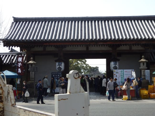 そして、食べ終わってからはバスに乗って東寺へ。