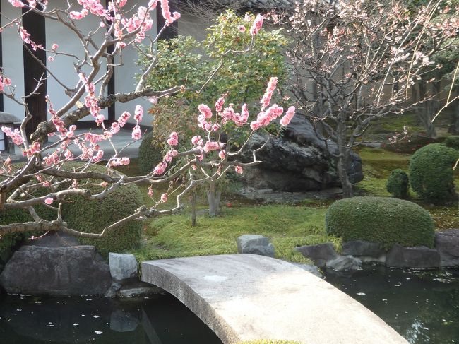 中は取れませんが、中は６室で構成されています。<br />牡丹の間、瓜の間、琵琶の間、タカの間、雛鳥の間では水墨画で描かれていました。<br />一番最後は勅使の間。これは他のものとは違い極彩色でキラキラしています。<br /><br />