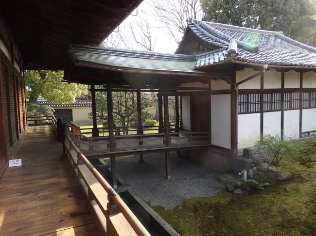 雛鳥の間は、一羽遅れている雛鳥がいるのですが、その雛鳥を見ている親鳥が書かれています。