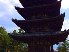 奈良って中学の修学旅行以来。全てが新鮮。
まず興福寺。