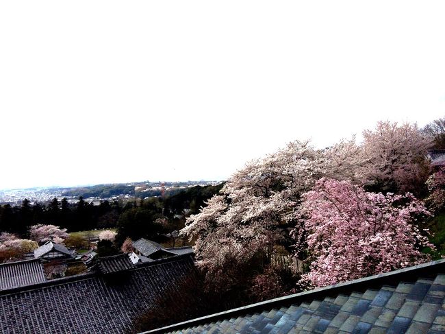 二月堂から。