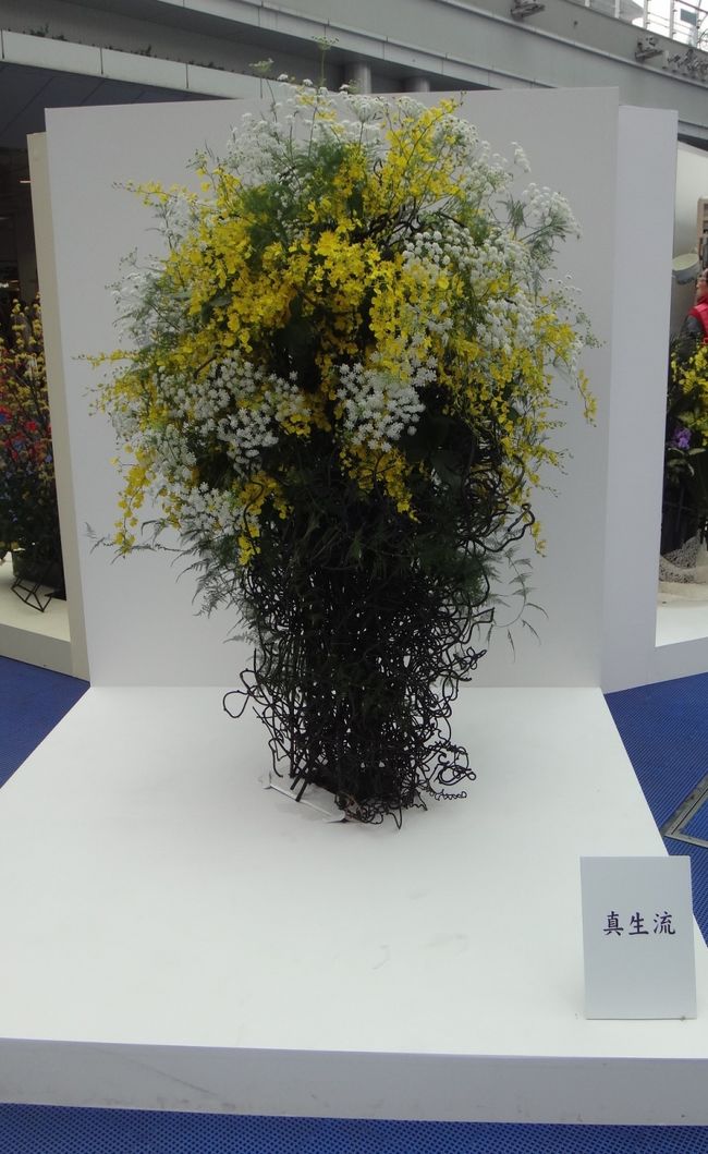 やさしい色合いです。