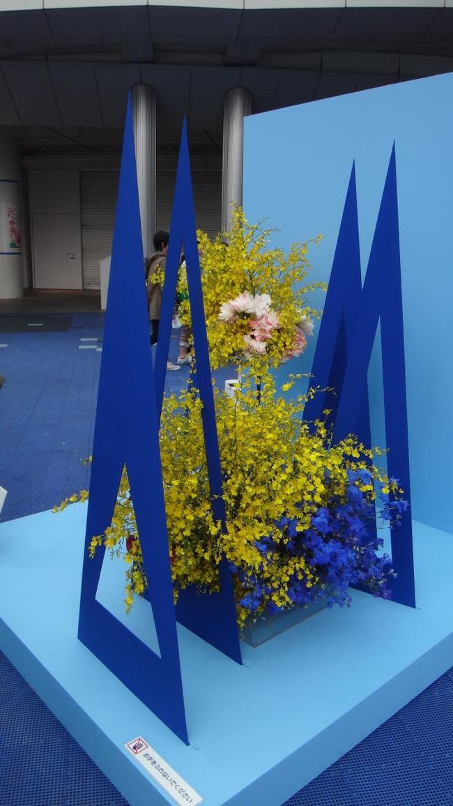 目が覚めるカラー