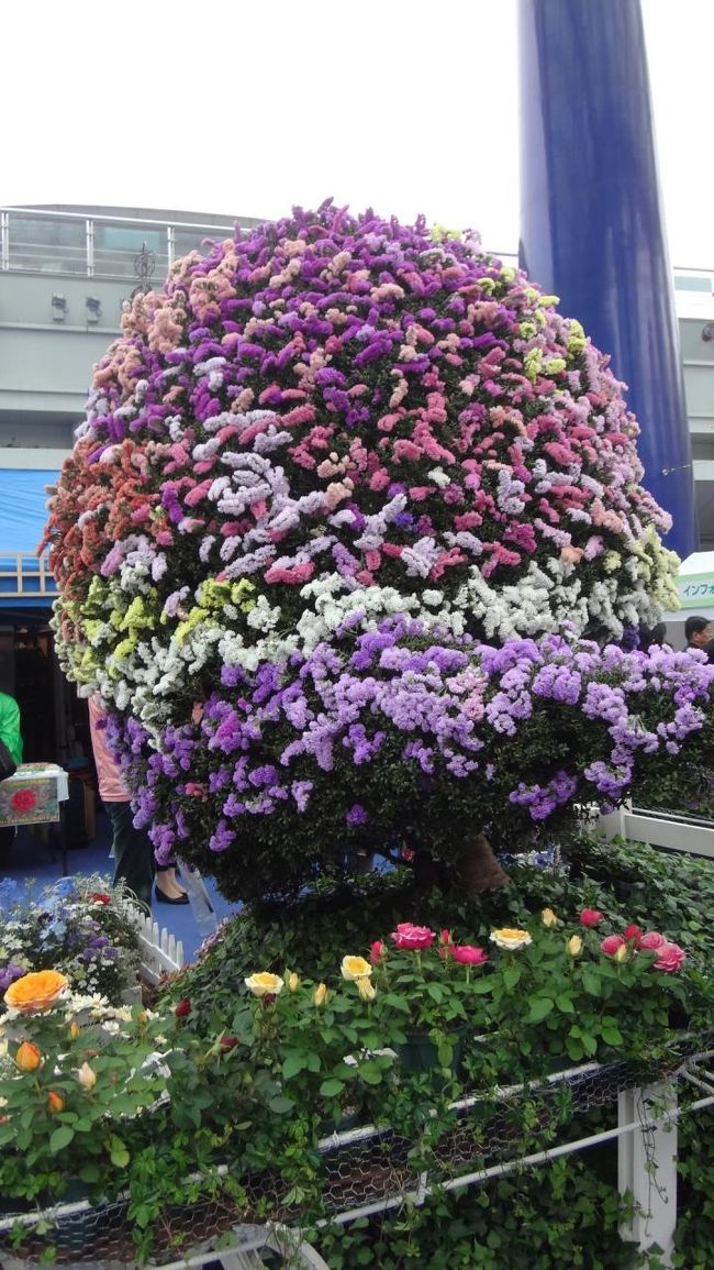 これは何かと思ったら〜