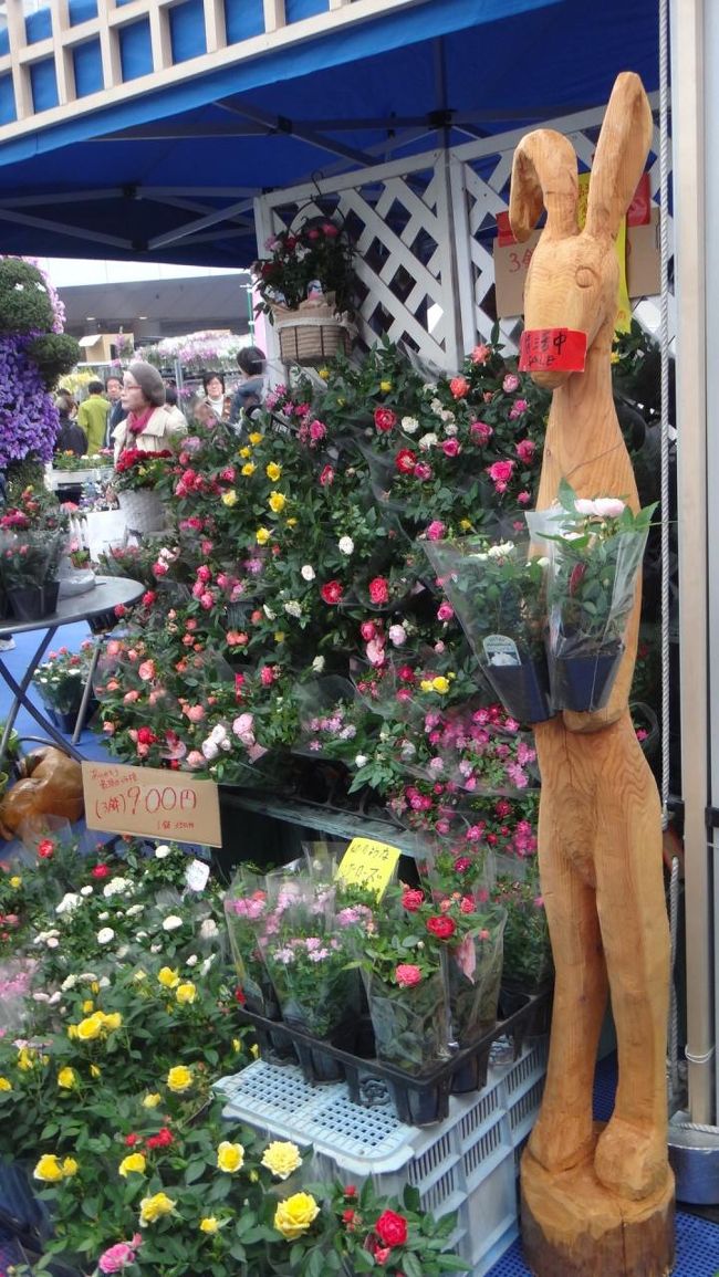 いらっしゃいませ〜　３鉢９００円で〜す。安い！