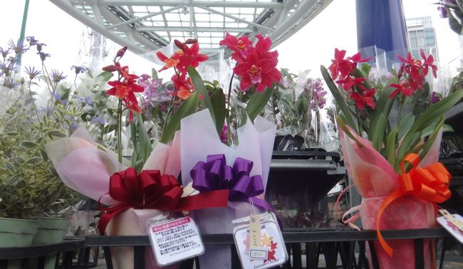 プレゼントにいいね。