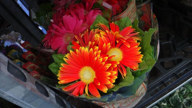 長く持ちそうですね。