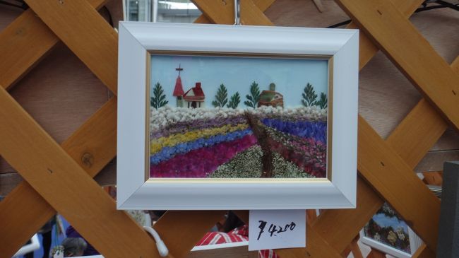 富良野ですね。いつも満開。