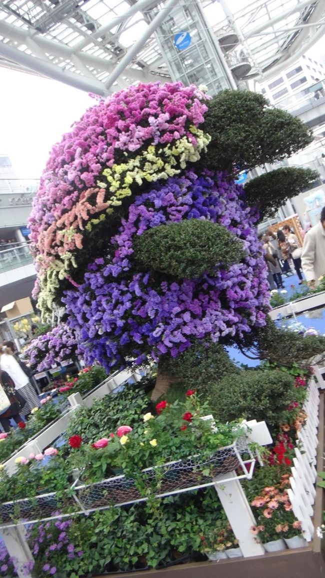 色んな角度から見て楽しめる。