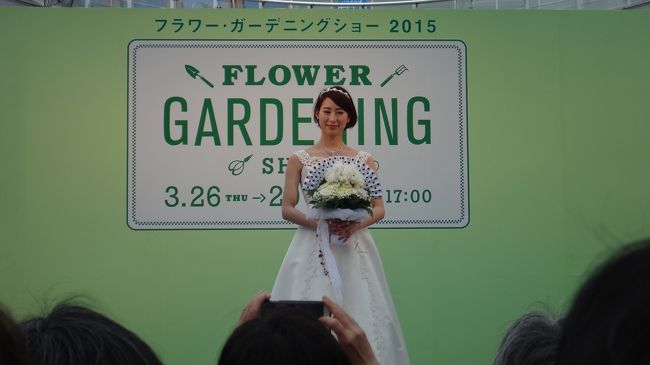 扇の裏側は別物に変身。