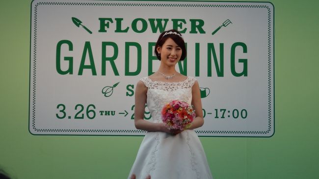 自分ならどれを選ぶだろうか。