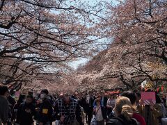 ２７日（金）朝、車で連れ合いを会社まで送ってから、すぐに出発です。

明日は大腸カメラがあるので、遊べるのは今日と明後日の２日間。

時間節約のためと、検査前日で消化の悪いものを避けなくてはならないという理由から、新幹線の中で玉子サンドイッチを食べておきました。

１２時過ぎ・・・上野駅のロッカーに荷物を入れ、上野恩賜公園へ来ました〜。

金曜の昼間だし、まだ５分咲きくらいでしたが、さすがは桜の名所・上野恩賜公園・・・けっこうな人出です〜〜。

もちろん、昼間だろうが・・・宴会やっている人たちで、道の両脇は埋め尽くされています。今日は天気いいからね〜（東京・・・蒸し暑いくらいです・・・）。

でも、土日よりは人出はマシかも・・・？