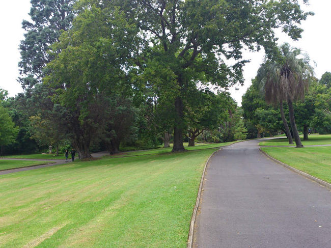 園内は結構綺麗に整備されています。