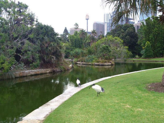 チョットした池も有ります。