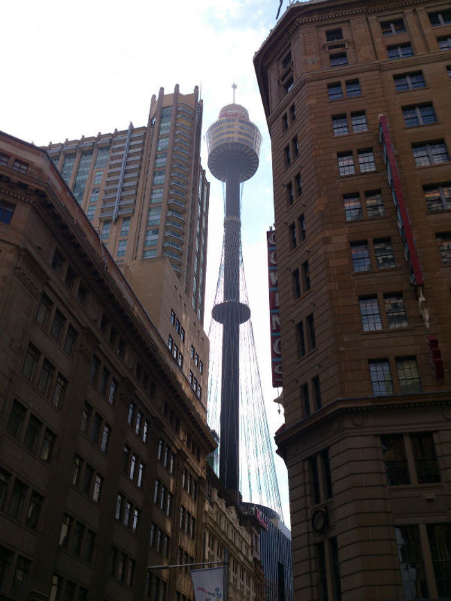 シドニータワーが可愛そうな感じです。