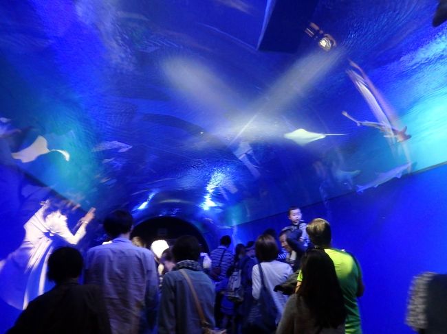 入り口から上がるテンション！