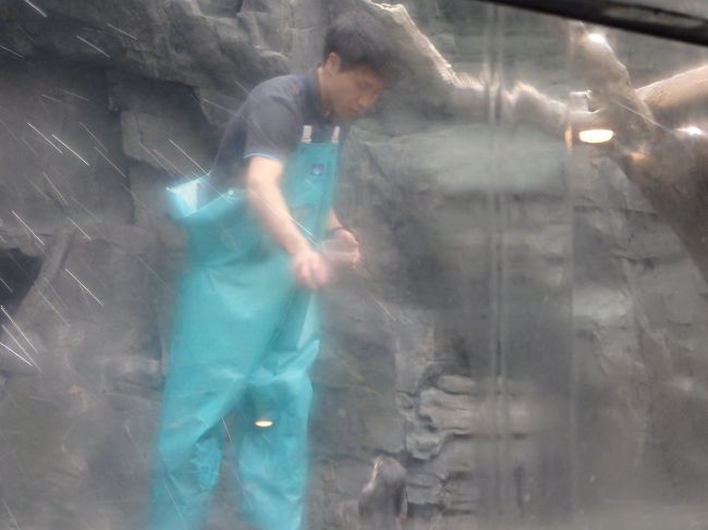 おねだりタイム。