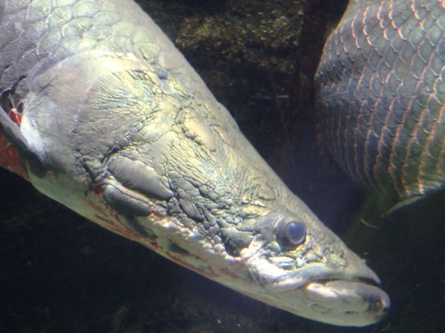 ちょっとこわい