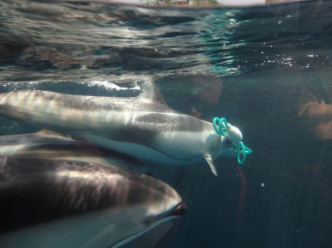 親子はずっと一緒に。