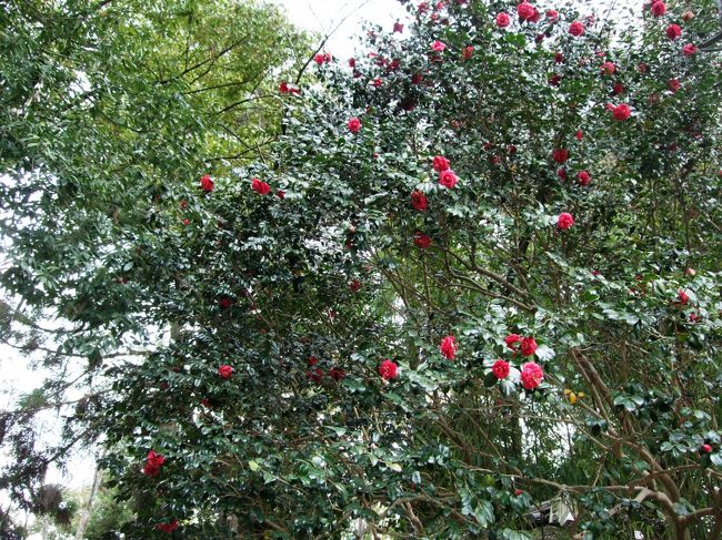 歩いてる途中で。