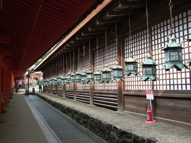 春日大社にて。