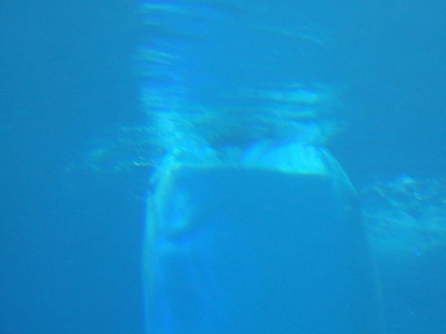 タイミングが合えば是非。