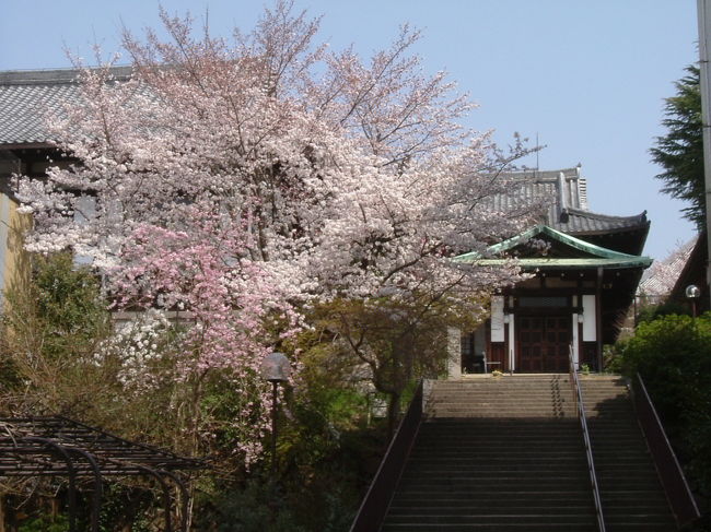 奈良基督教会　（東向商店街）<br /><br />とりあえず、奈良教育大学を目指しますが、桜が気になってしようがありません。5〜7分咲きでしょうか？明日から雨の天気予報なので、今見ないと見損なう可能性もあります。