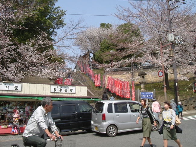 猿沢池から見た南円堂への坂道<br /><br />ここにも桜です！桜を見ると心が浮き立ちます！