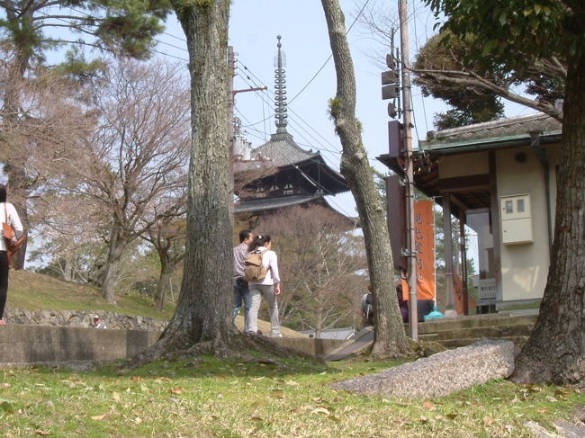 興福寺の五重塔<br /><br />猿沢池から見た、興福寺の五重塔。この間の五重塔の写真がもう一つだったので、再チャレンジ。ひつこいですね！