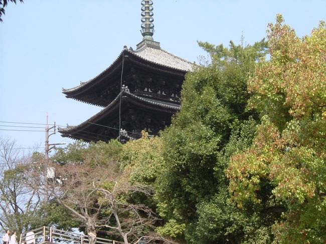 興福寺の五重塔<br /><br />さらに1枚。