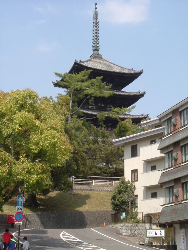 興福寺の五重塔<br /><br />とどめの1枚。