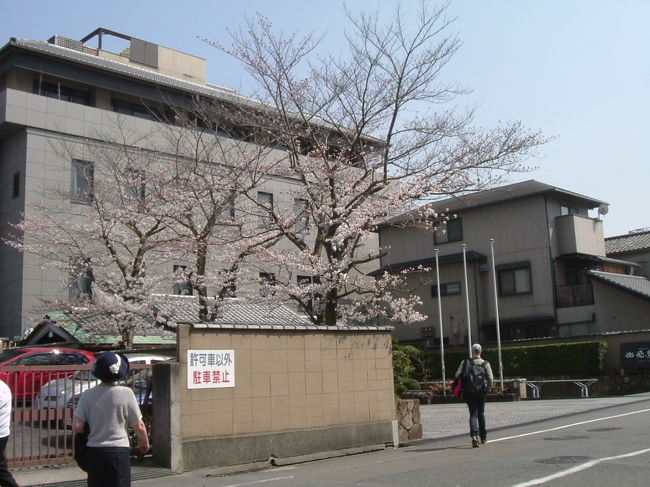 ホテル　飛鳥荘　（もちいどセンター近く）<br /><br />ここにも桜！