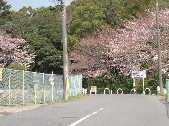 県道188号線を進む<br /><br />護国神社の鳥居が見えています。もう少し行けば、田原西陵への、左に折れなさいという道標がある筈です。