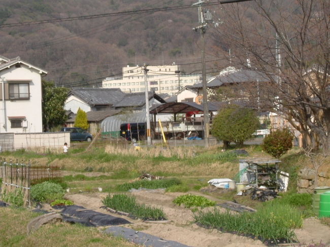 春日苑二丁目の団地<br /><br />ここでは、団地から出ていると思う。見えている建物は、奈良春日病院で、前回80号線を歩いた時は、その前を通過している。方角的には、間違いがない。